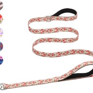 Double Handle Dog Leash 6 Foot Cute Girl Padded Traffic Handles for Walking Training (Cream Natural Floral, 6ft)