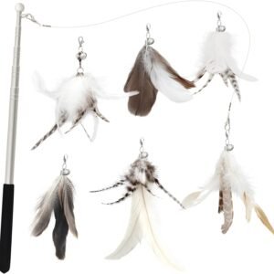Cat Feather Wand - 7 Pcs Interactive Toys for Indoor Kitten, Retractable Wand With 6 Natural Feather Refills and Bell, Fishing Pole Toy