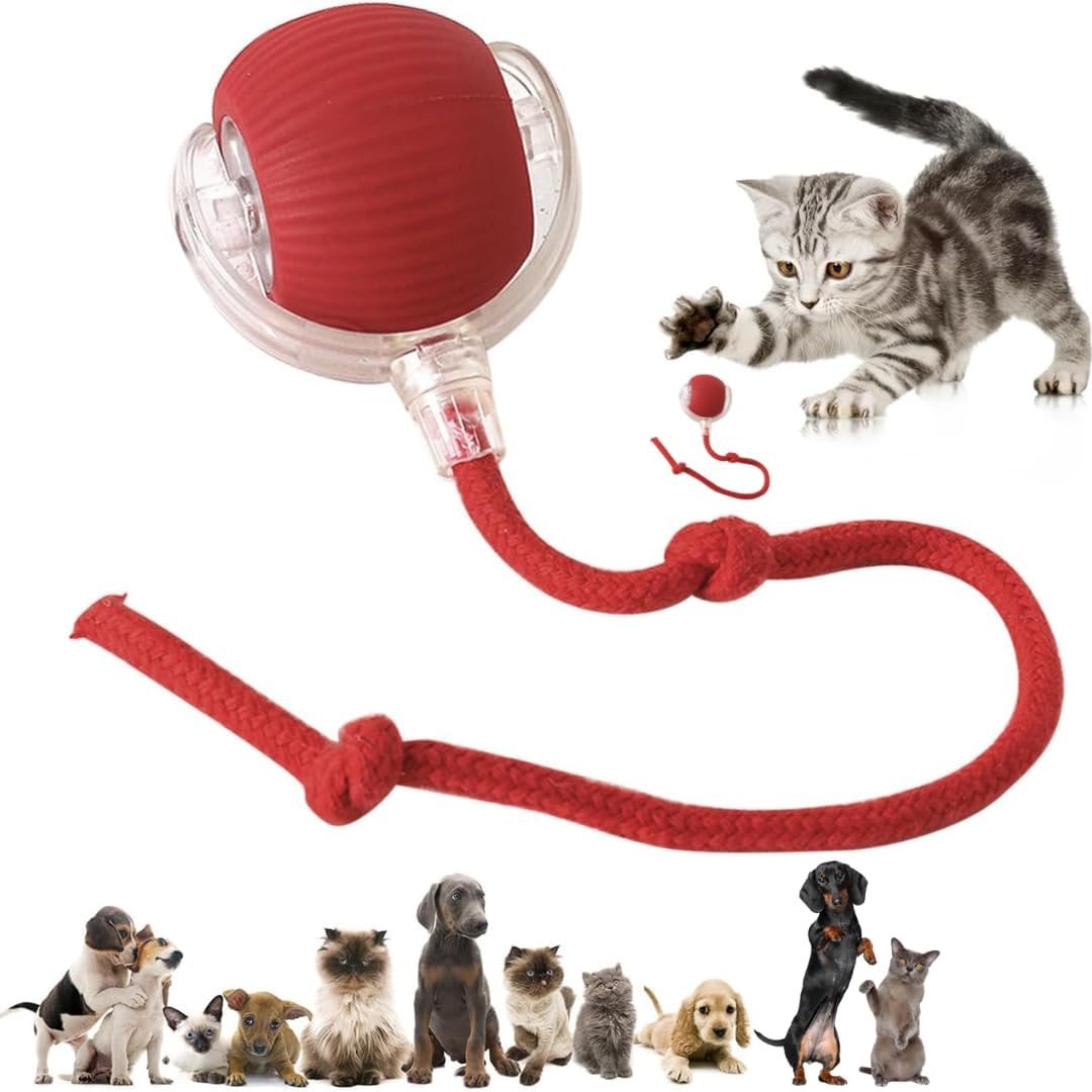 Interactive Electric Automatic Rolling Moving Rechargeable Self Play Stimulation Toy,Smart Pet Chase Ball with Speedy Tail Rope for Bored Indoor Cats enrichment,stimulating Dogs toy Small dogs (Red)