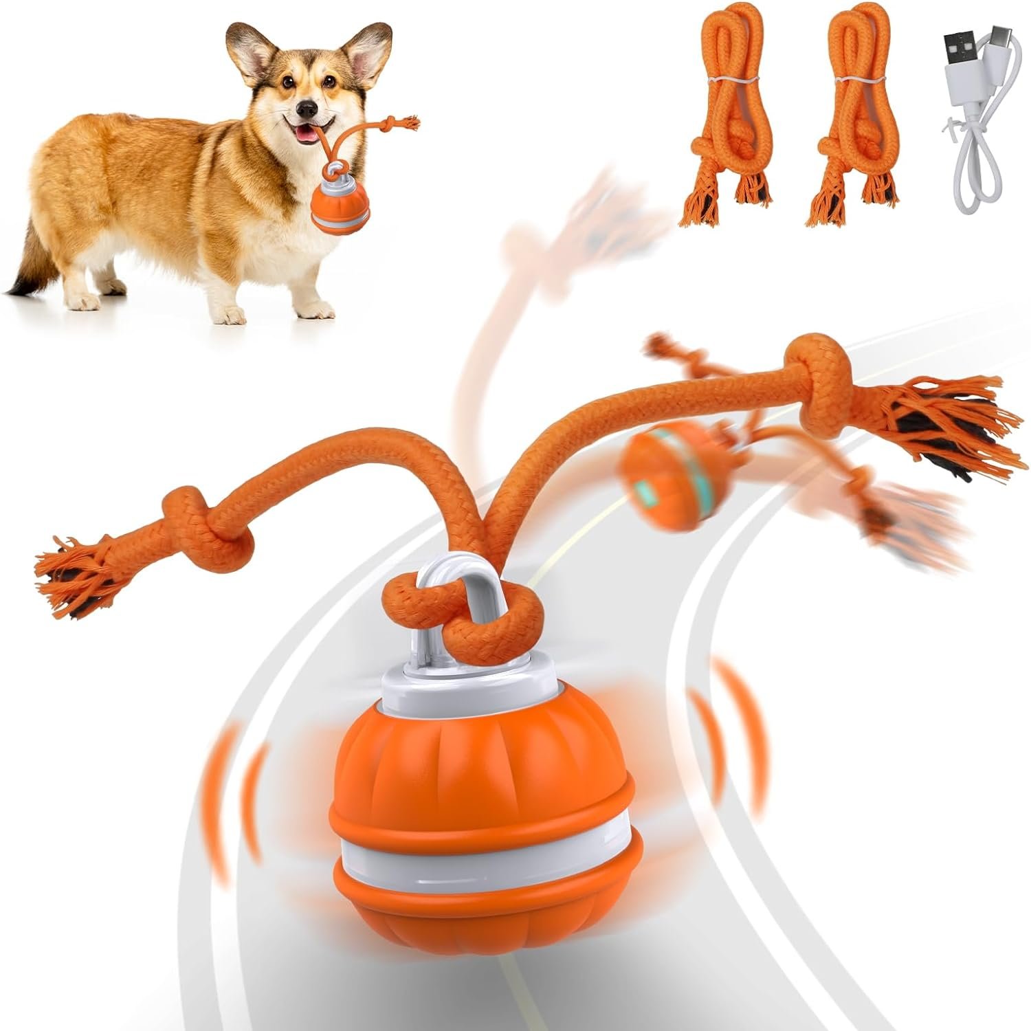 Pet Ball for Dogs, Dog Interactive Toys,Motion Activate Rolling Ball for Puppy/Small Dogs, Automatic Moving Toy,USB Rechargeable
