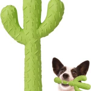 Dog Chew Toys for Aggressive Chewers, Durable Rubber Cactus Tough Toys for Training and Cleaning Teeth, Interactive Dog Toys for Small/Medium Dog
