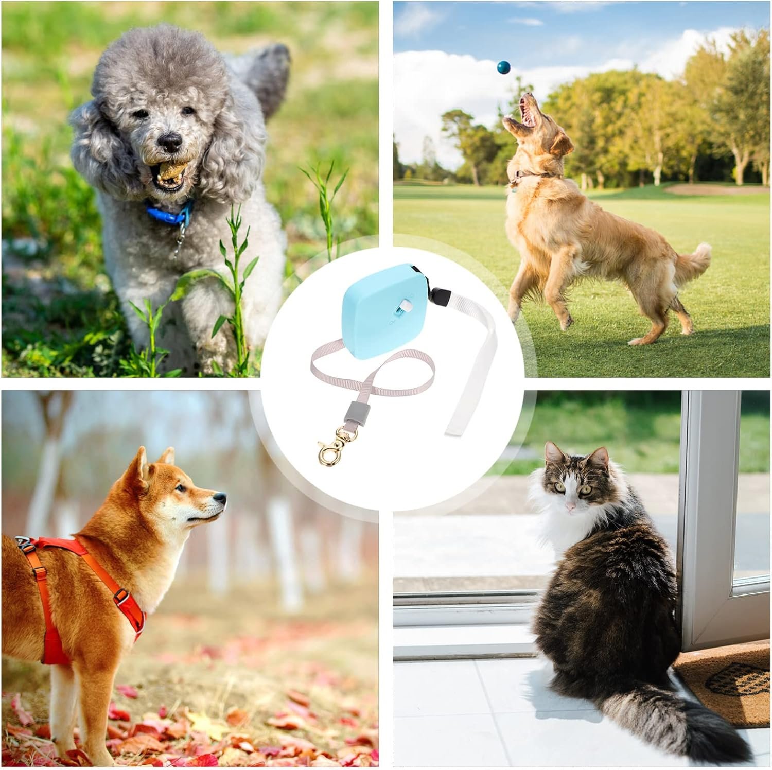 Retractable Mini Dog Leash Pet Leash for Small Dogs Ergonomic Design for Walking Training for Jogging Outdoor Activities - Image 2